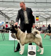RayZr IDS Bleiswijk 2023 - Best Dog